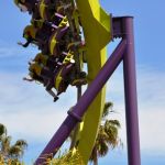 Six Flags Discovery Kingdom - Medusa - 039